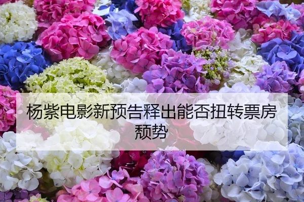 杨紫电影新预告释出能否扭转票房颓势
