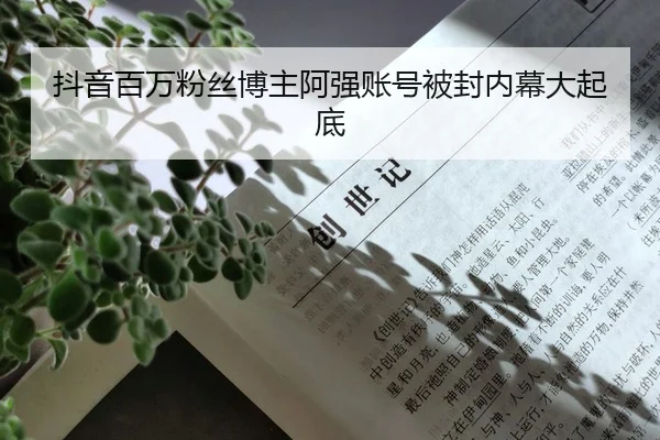 抖音百万粉丝博主阿强账号被封内幕大起底